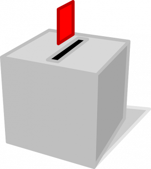 Read more about the article ELECTIONS To the Board of Trustees￼