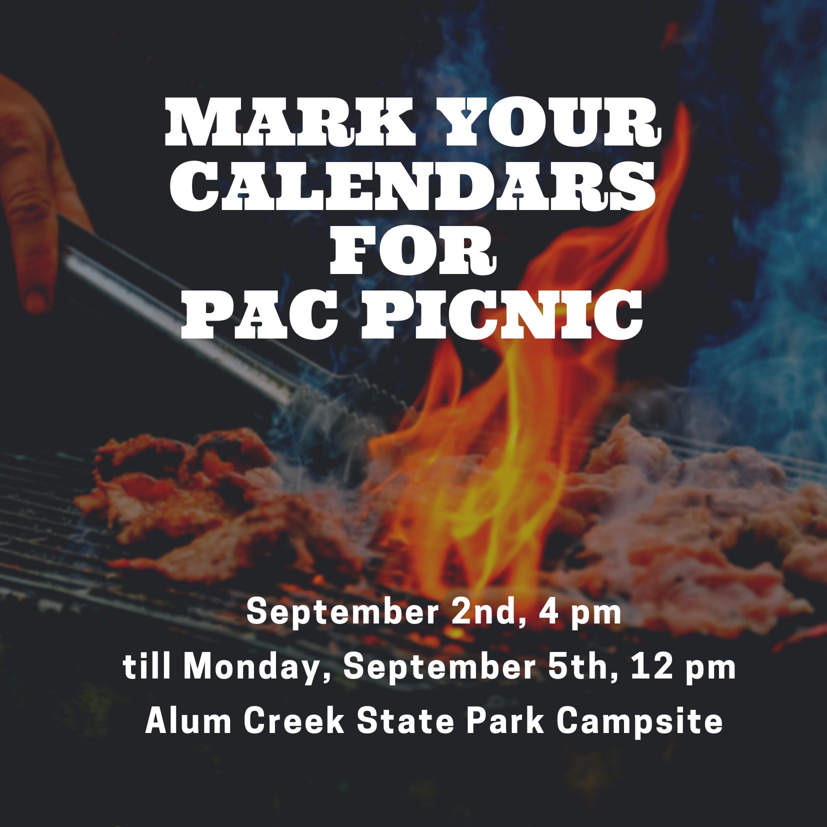 Read more about the article Pac Picnic